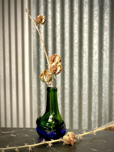 Encalmo Vase