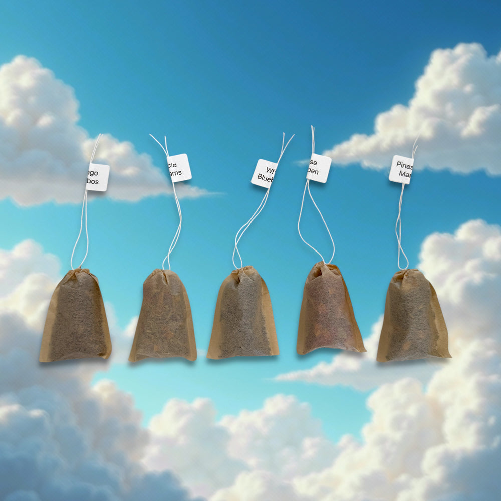 Forever Summer Tea "Flight" Sampler Pack