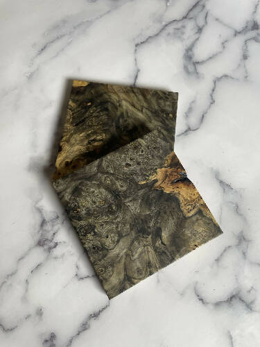Buckeye Burl Coaster (package of 2)