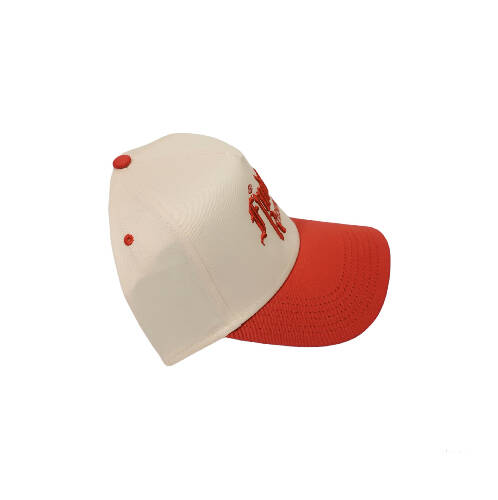 Finding Reason Hat