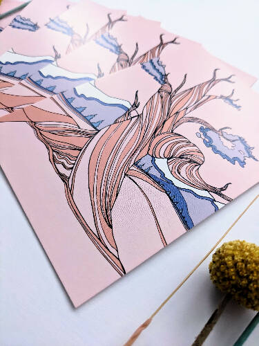 Bristlecone Pine Postcard, Nevada State Tree Postcard, Tree Postcard pack