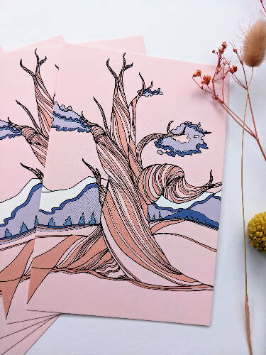 Bristlecone Pine Postcard, Nevada State Tree Postcard, Tree Postcard pack