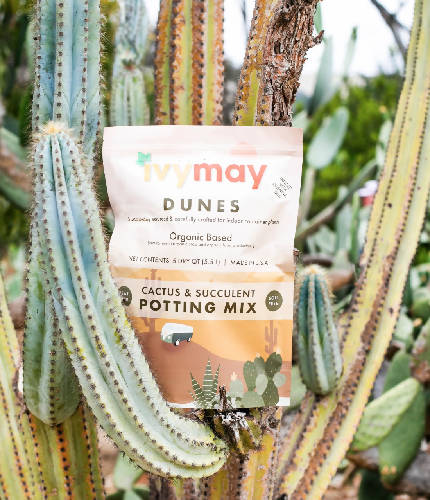 Ivy May Potting Soil