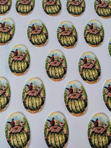 Barrel Cactus and Butterfly Vinyl sticker and decal size 3x2"