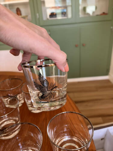 platinum rim federal wild fowl glasses set of two