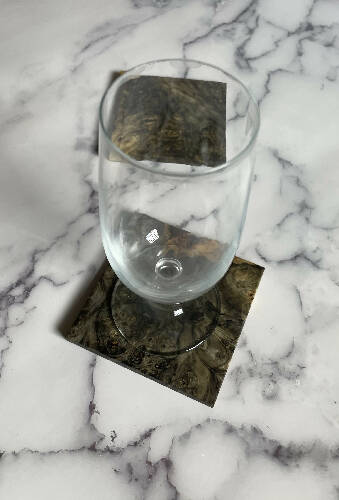 Buckeye Burl Coaster (package of 2)