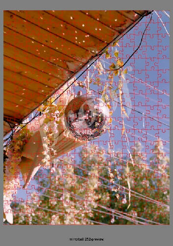 Mirrorball Art Puzzle