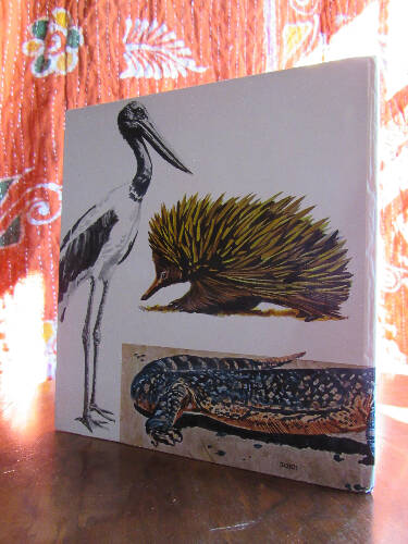 An Australian Golden Book: ABC Australian Animals and Birds 1970