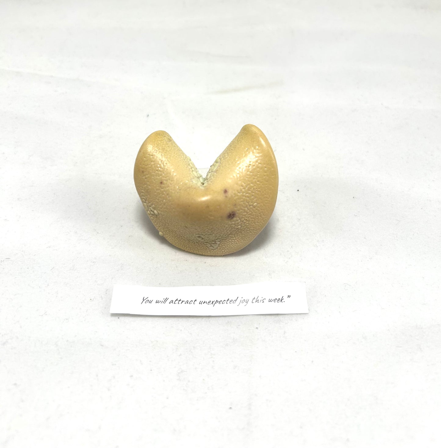 MIST Fortune Cookie