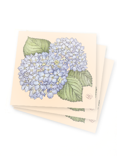 Blue Hydrangea - Art Print (12"x12")