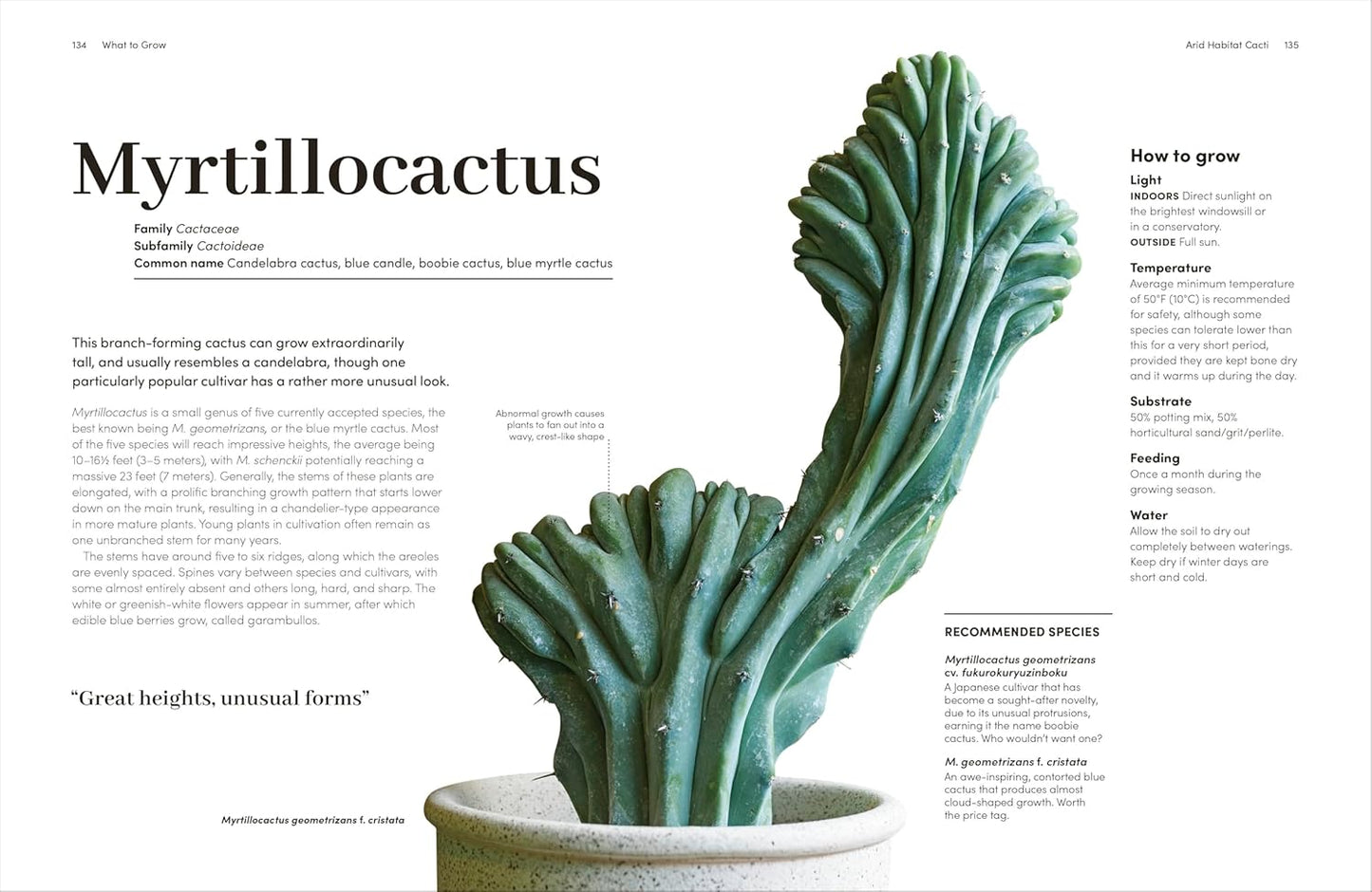 Cacti and Succulents Book