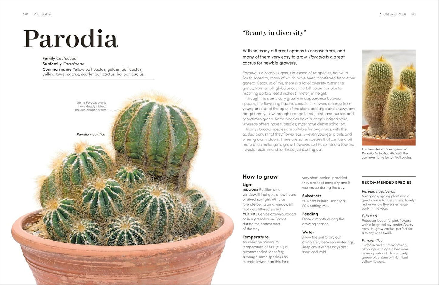 Cacti and Succulents Book