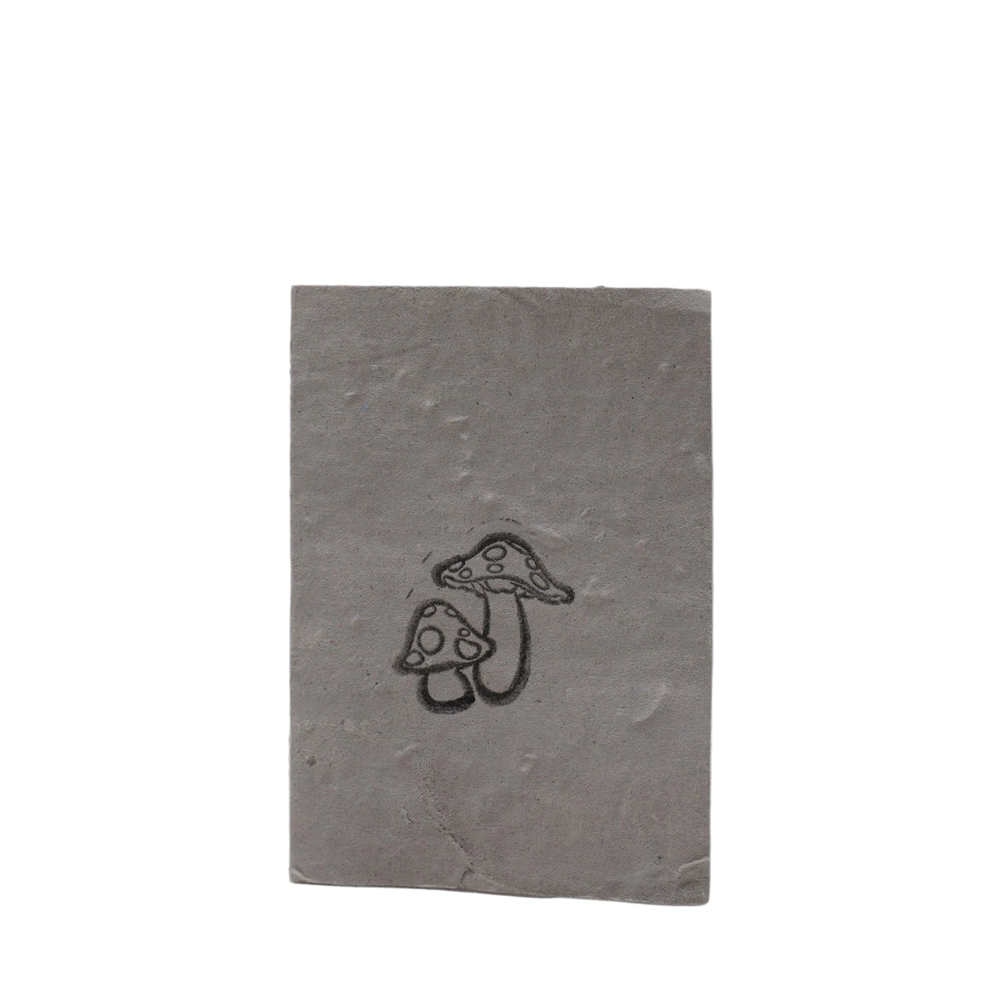 Wild Flower Seed Paper Card