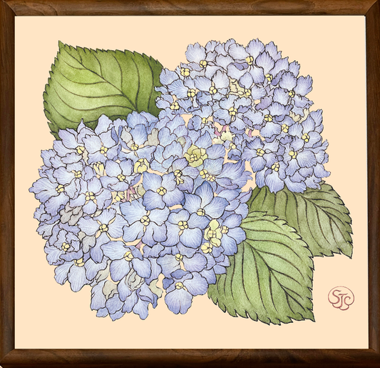 Blue Hydrangea - Wood Frame