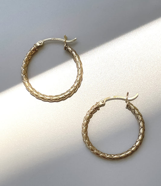 Serpentine Hoops