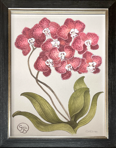 Orchid_Framed_Sze_Jones