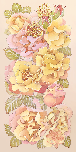Radiant Rose - Art Print