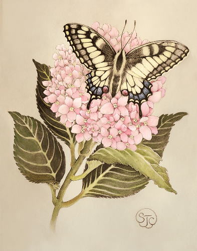 Swallowtail_Hydrangea_Print_Sze_Jones