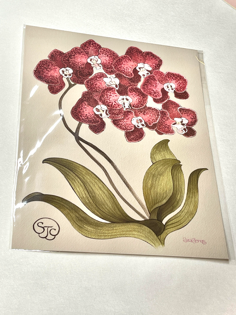 Red Orchid - Art Print (16" x 20")