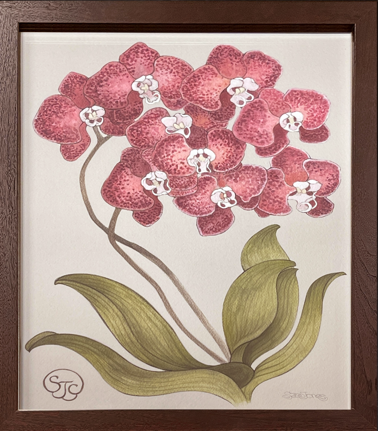 Red Orchid - Brown Frame