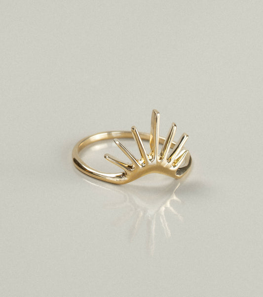 Horizon Ring