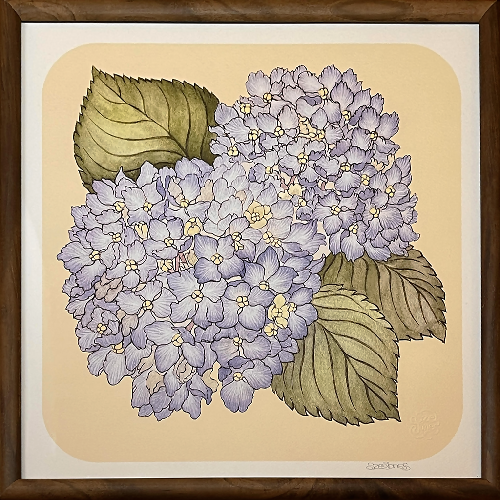 Hydrangea_Sze_Jones_Wood_Frame
