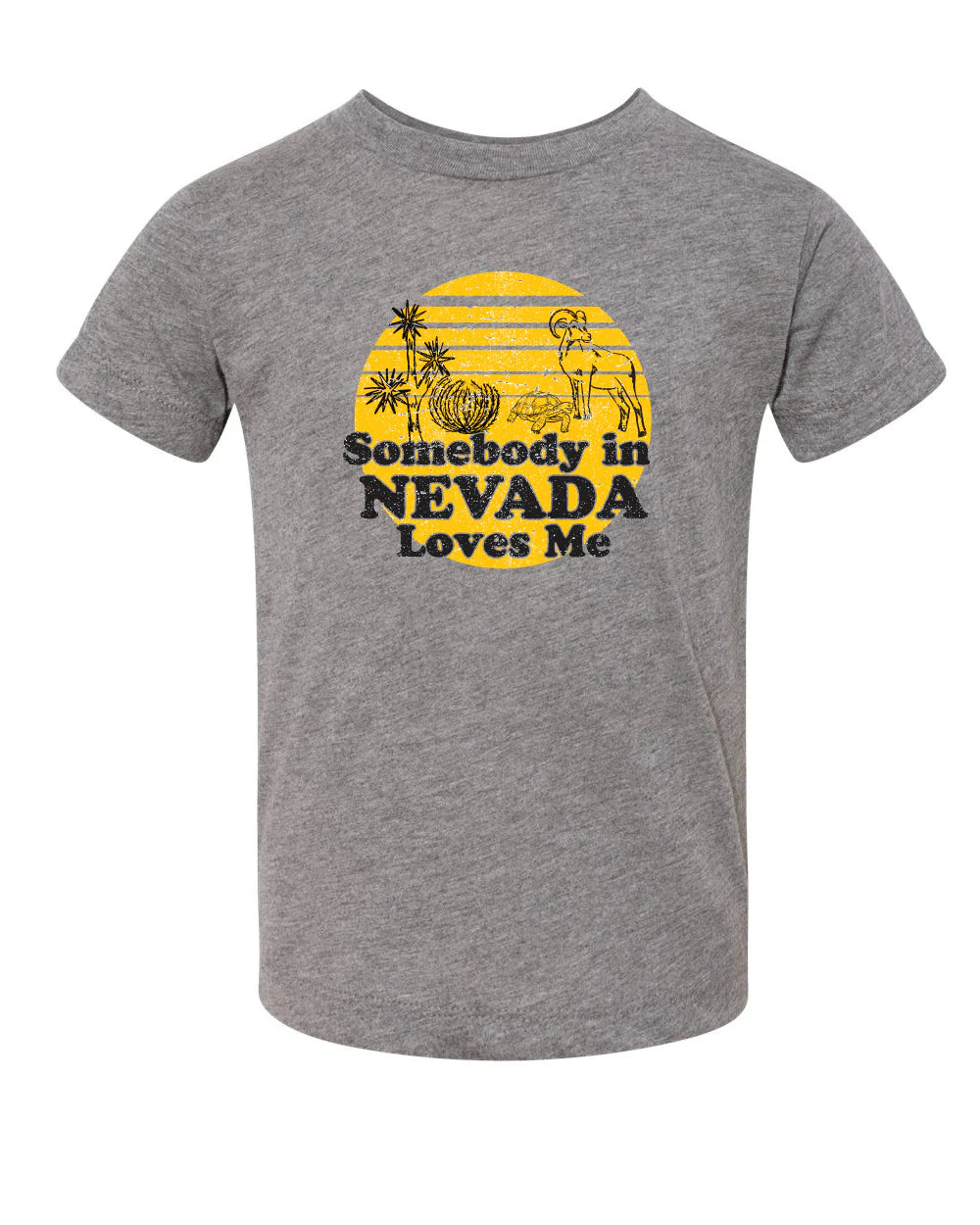 Somebody in NVLoves Me Ringer T-shirt (kids)