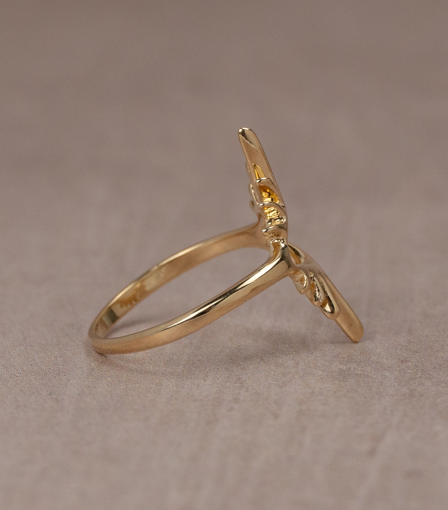 Sun Visions Ring