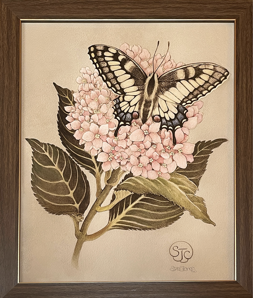 Swallowtail & Hydrangea - Framed Art