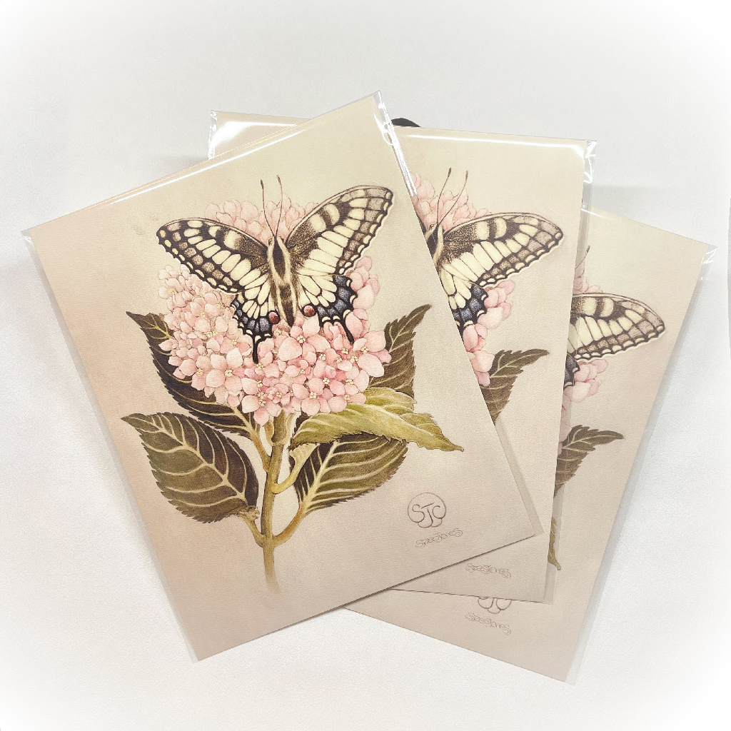 Swallowtail & Hydrangea - Art Print (11" x 14")