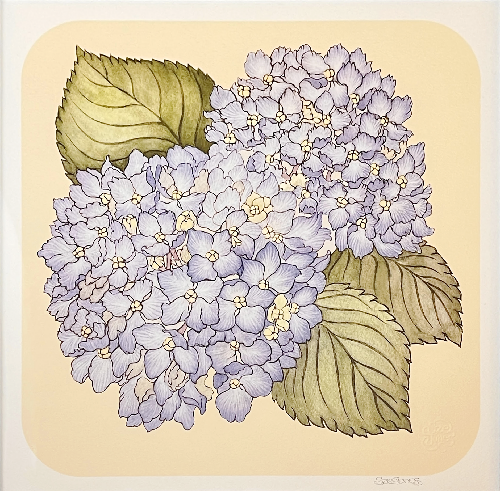 Hydrangea_Sze_Jones_Art_Print