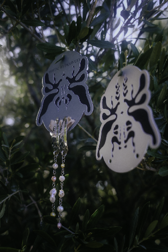 Sun Star Hair Clips