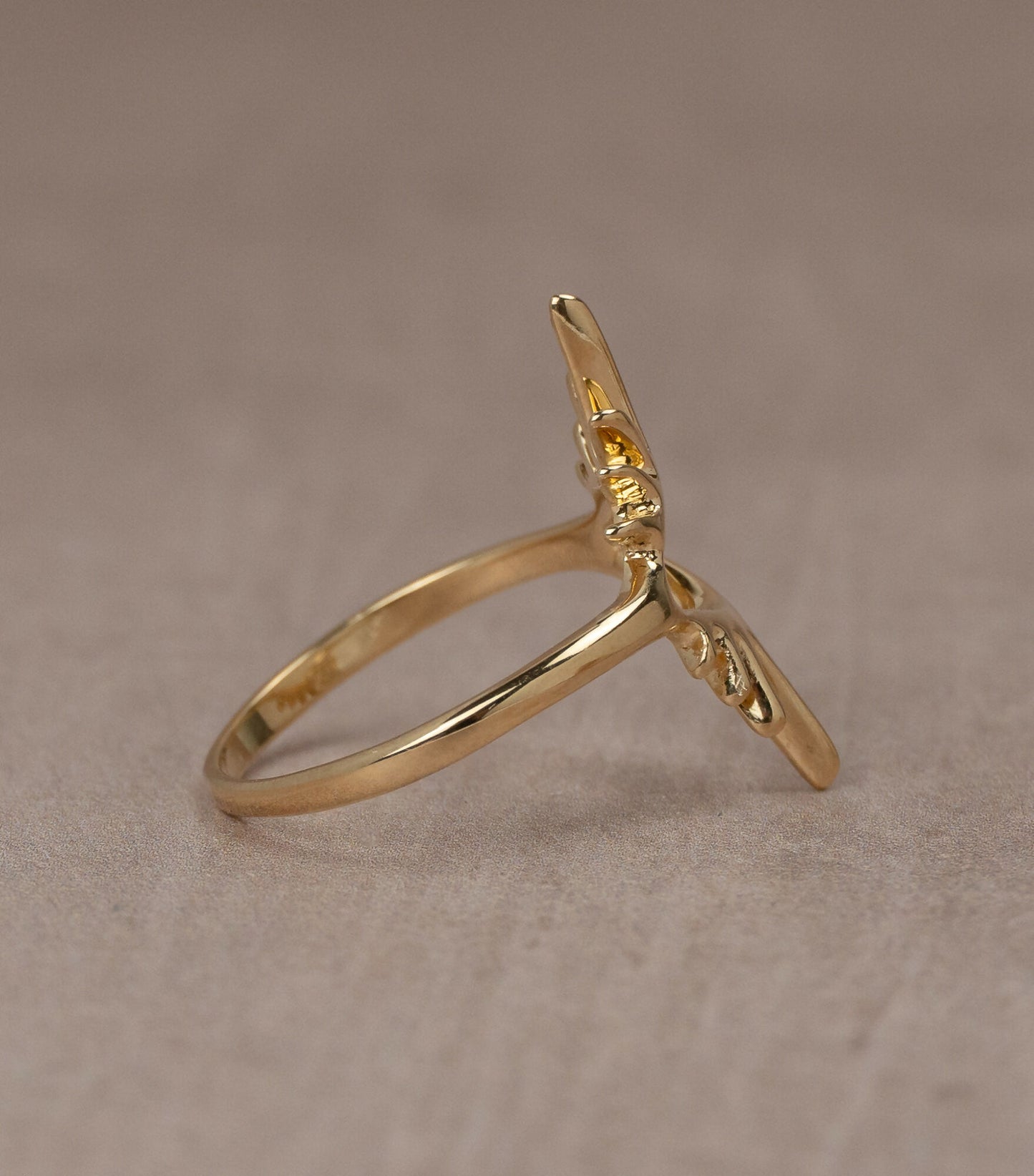 Sun Visions Ring