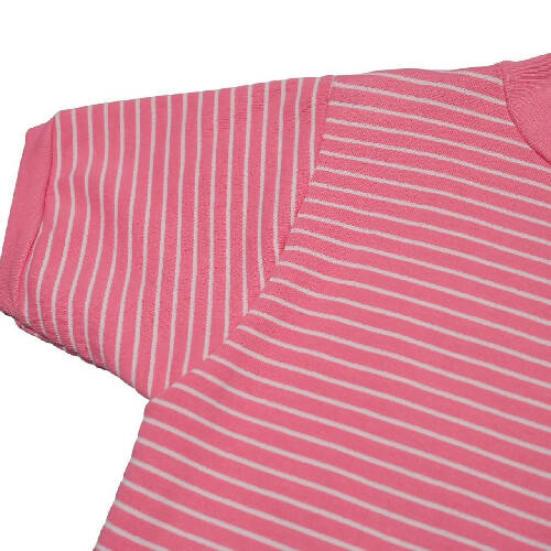 FL Robinson Stripe Short Sleeve Sweatshirt
