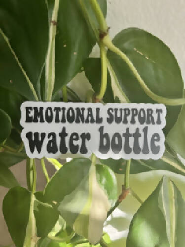 Black Emotional Support Water Bottle Sticker