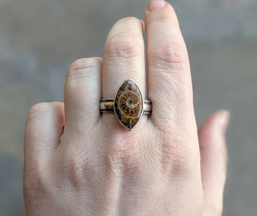 Ammonite Ring Size 9.5