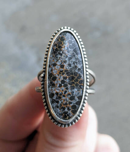 Black Fossil Corral Size 10 Ring
