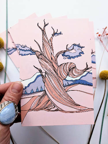 Bristlecone Pine Postcard, Nevada State Tree Postcard, Tree Postcard pack