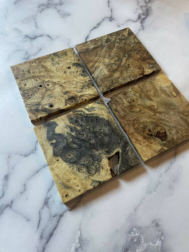 Buckeye Burl Coaster (package of 4)